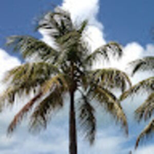 Meet your Posher, Bernadette